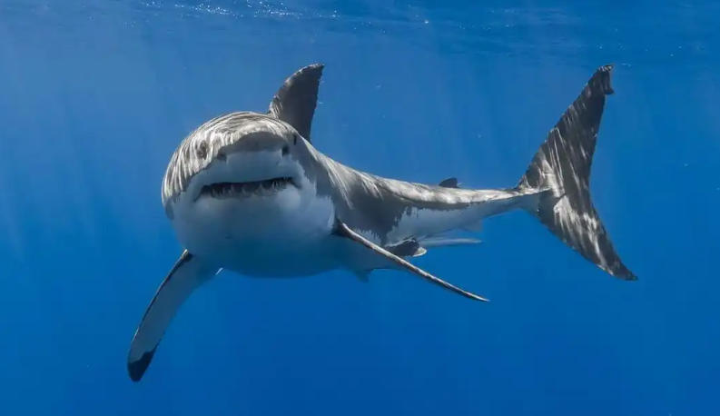 中医养生堂_中医_健康网_中医保健_养生轮播图3