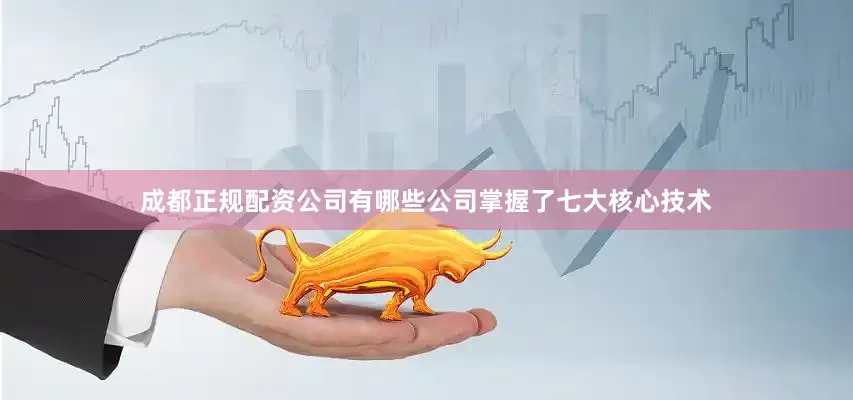 成都正规配资公司有哪些公司掌握了七大核心技术
