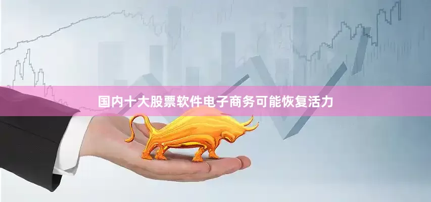 国内十大股票软件电子商务可能恢复活力