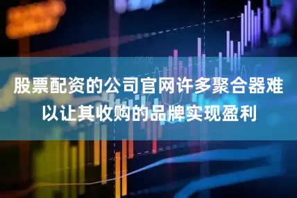 股票配资的公司官网许多聚合器难以让其收购的品牌实现盈利