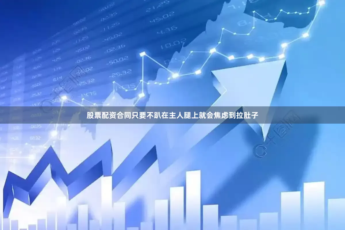 股票配资合同只要不趴在主人腿上就会焦虑到拉肚子