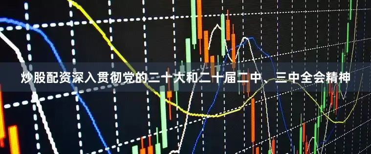炒股配资深入贯彻党的二十大和二十届二中、三中全会精神