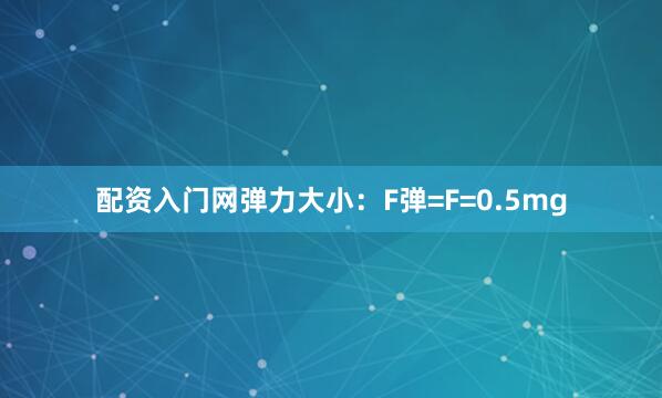 配资入门网弹力大小：F弹=F=0.5mg