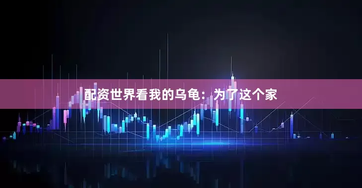 配资世界看我的乌龟：为了这个家